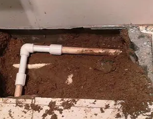 浮山测漏水哪家好